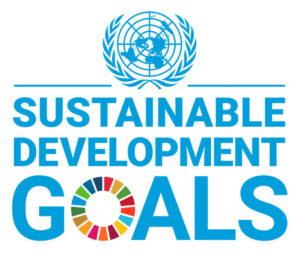 UN SDG logo for illuminance Solutions website
