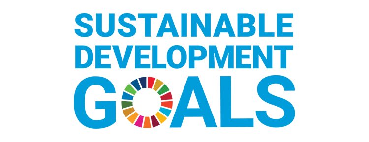 UN sustainable goals logo
