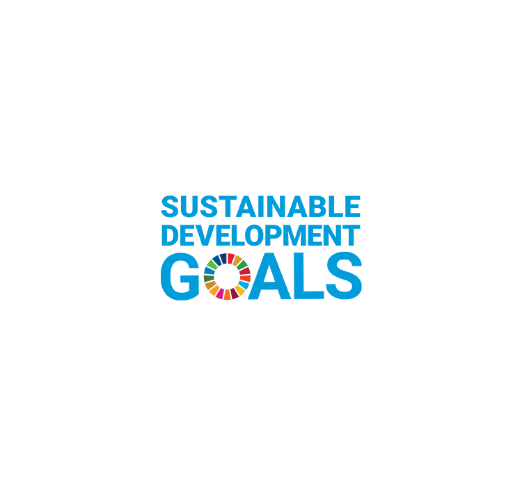 UN sustainable goals logo